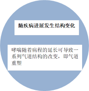 哮喘随着病程的延长可导致一系列气道结构的改变，即气道重塑,随疾病进展发生结构变化