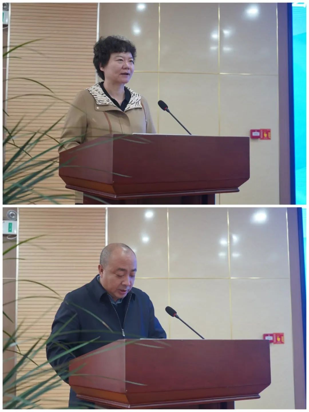 图片 图片